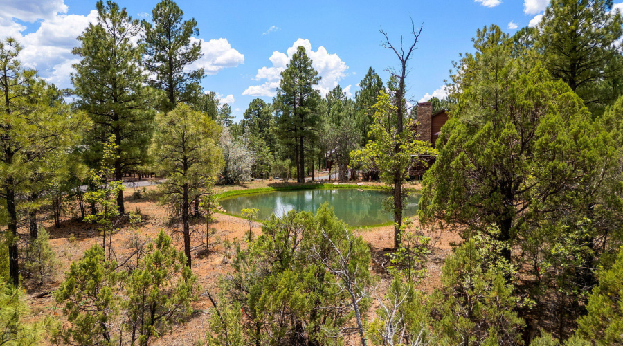 4021WRedtwigLn-ShowLow-AZ-4