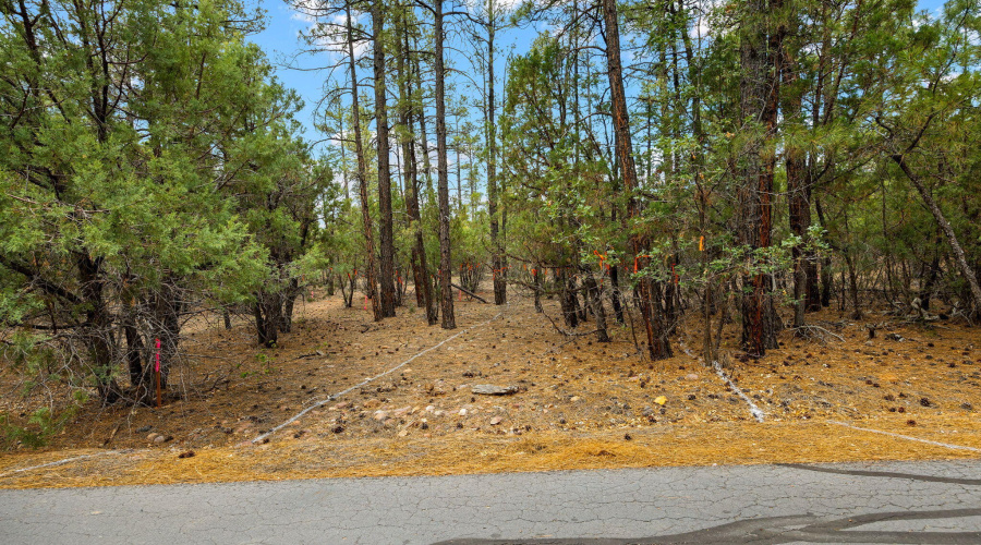 4021WRedtwigLn-ShowLow-AZ-3