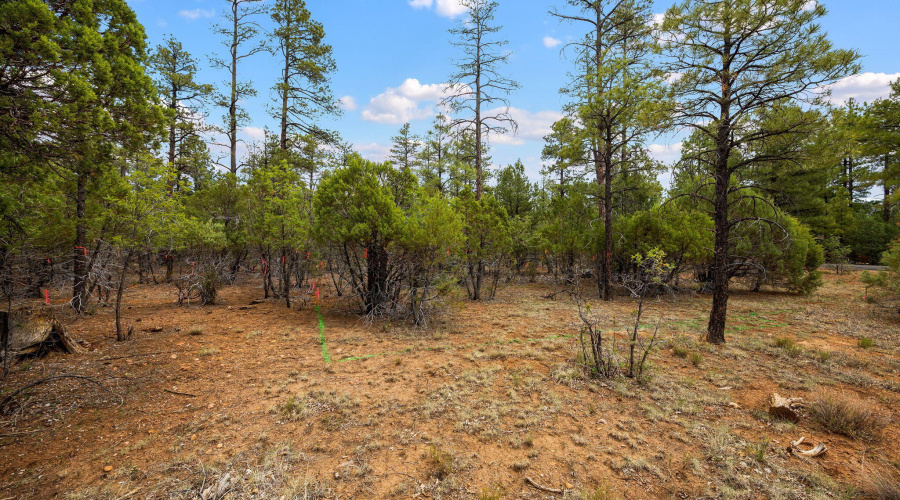 4021WRedtwigLn-ShowLow-AZ-2