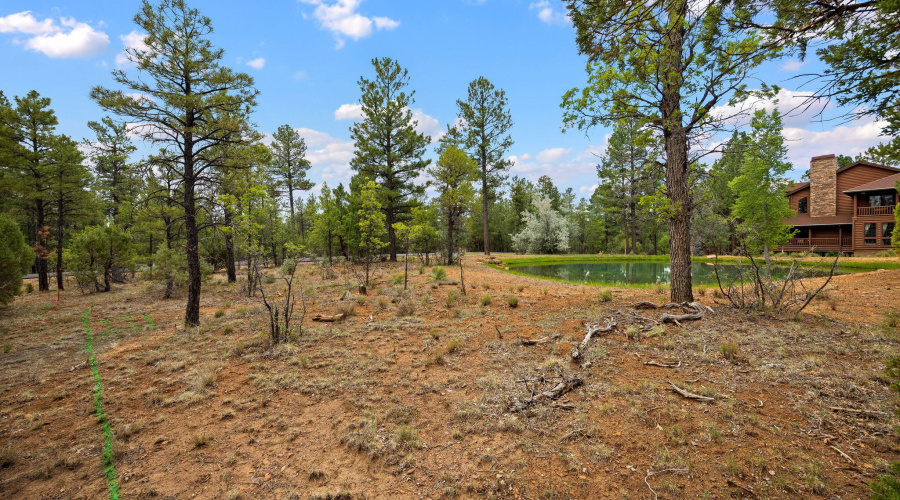 4021WRedtwigLn-ShowLow-AZ-1