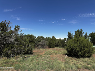 8374 Apache Drive, Show Low, Arizona 85901, ,Land,For Sale,Apache,252823