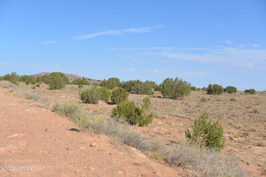 TBD Ridgeview Ranch Road, Snowflake, Arizona 85937, ,Land,For Sale,Ridgeview Ranch Road,257417