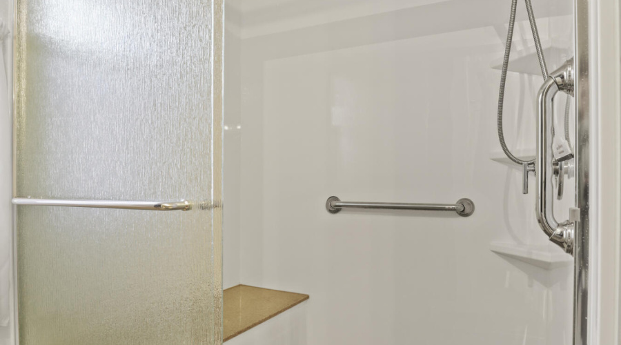Primary Bath Walk-in Shower