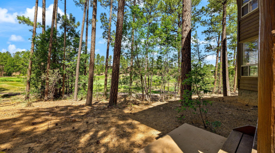 630RockcressLn-ShowLow-AZ-39