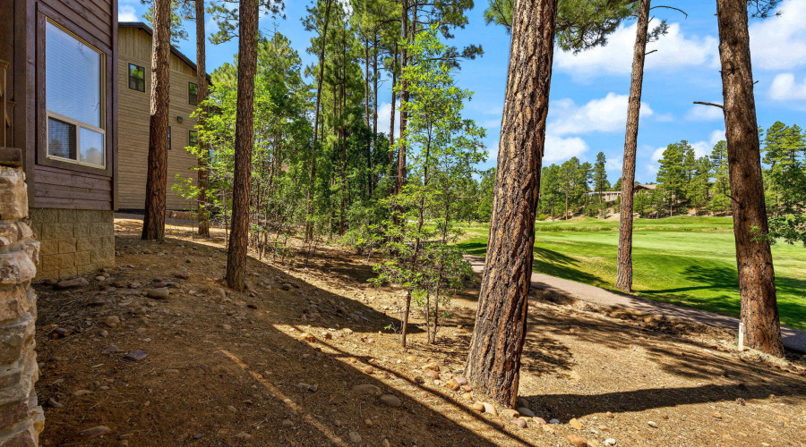 630RockcressLn-ShowLow-AZ-40