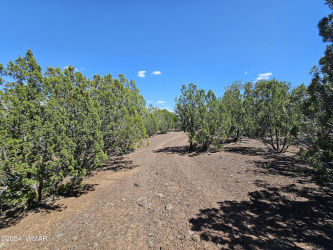 1259 Kb Ranch Road, Show Low, Arizona 85901, ,Land,For Sale,Kb Ranch,257453