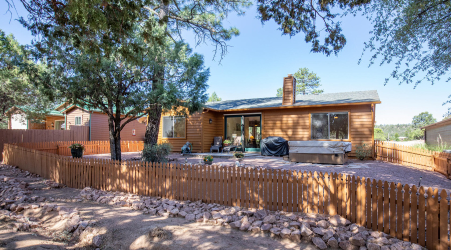 Backyard from Forest