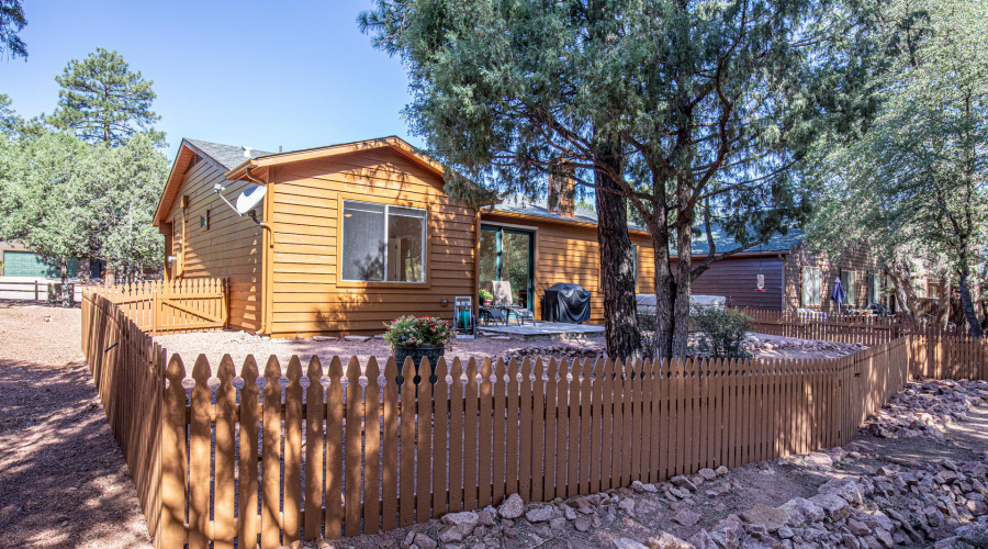 Backyard from Forest