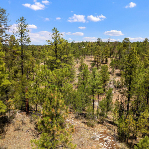207-18-007J-G-HeberOvergaard-AZ-2