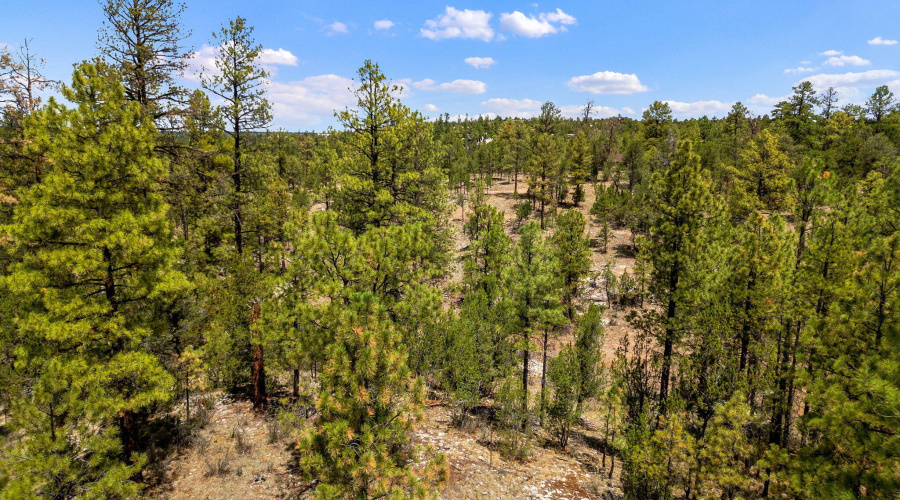 207-18-007J-G-HeberOvergaard-AZ-2