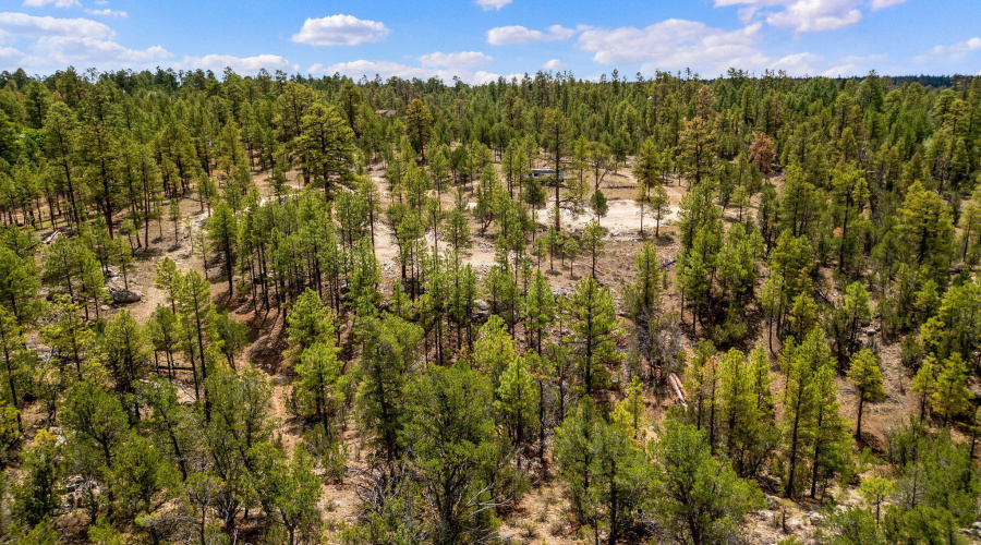 207-18-007J-G-HeberOvergaard-AZ-1