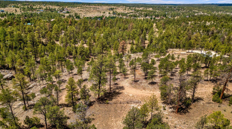 207-18-007J-G-HeberOvergaard-AZ-11