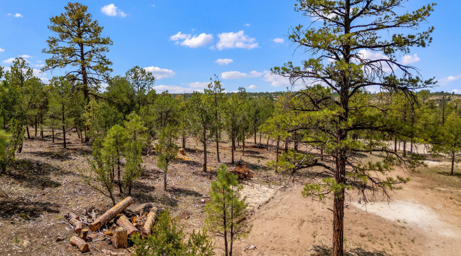 207-18-007J-G-HeberOvergaard-AZ-4