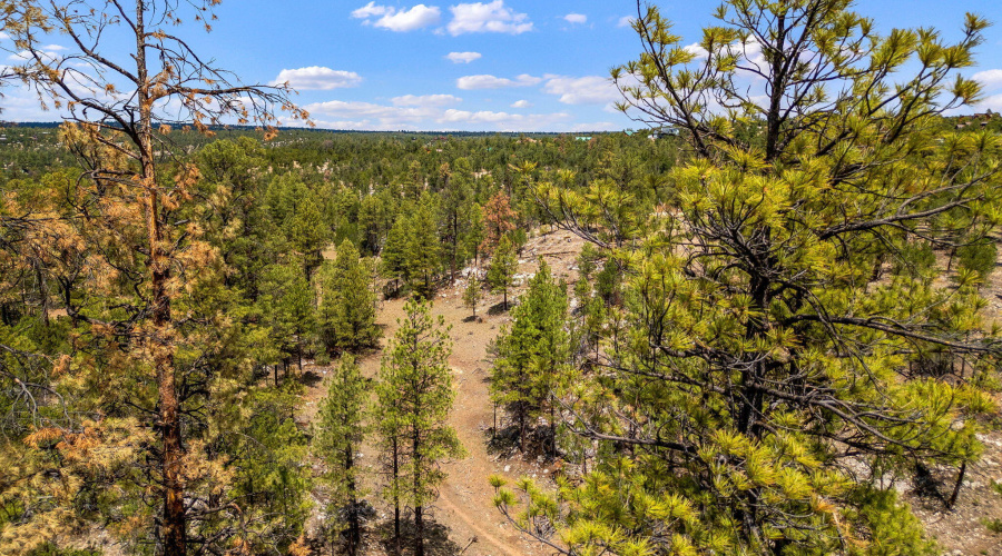 207-18-007J-G-HeberOvergaard-AZ-3