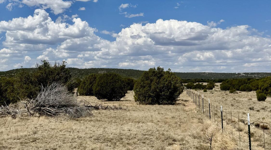 17 County Road N8034