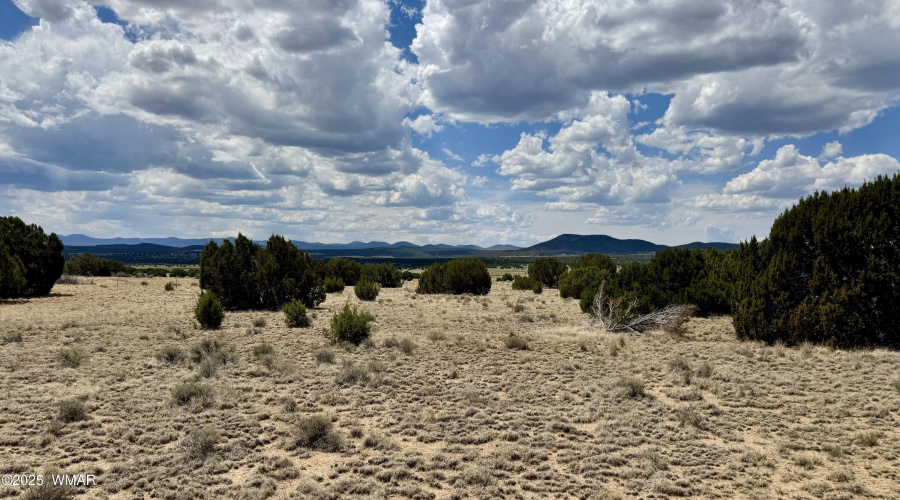 17 County Road N8034