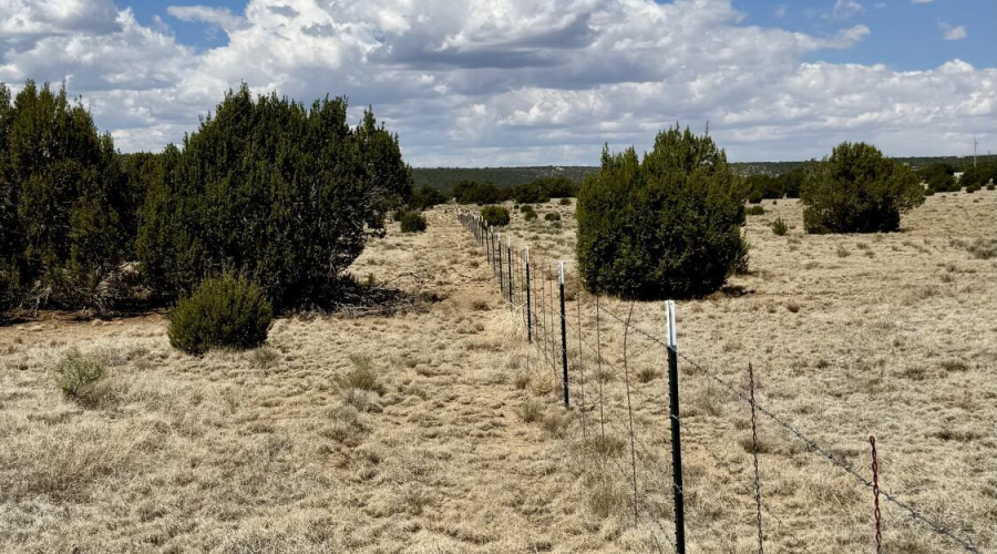 17 County Road N8034