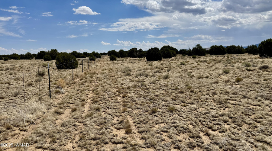 17 County Road N8034