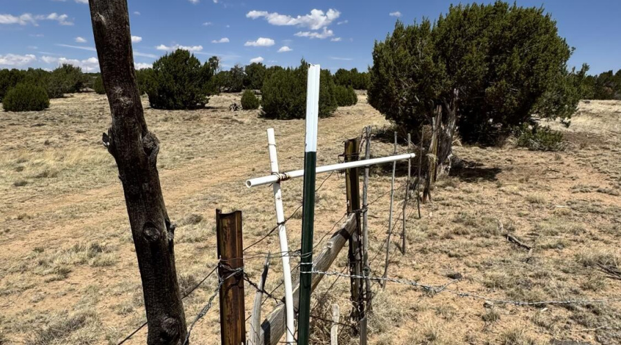 17 County Road N8034