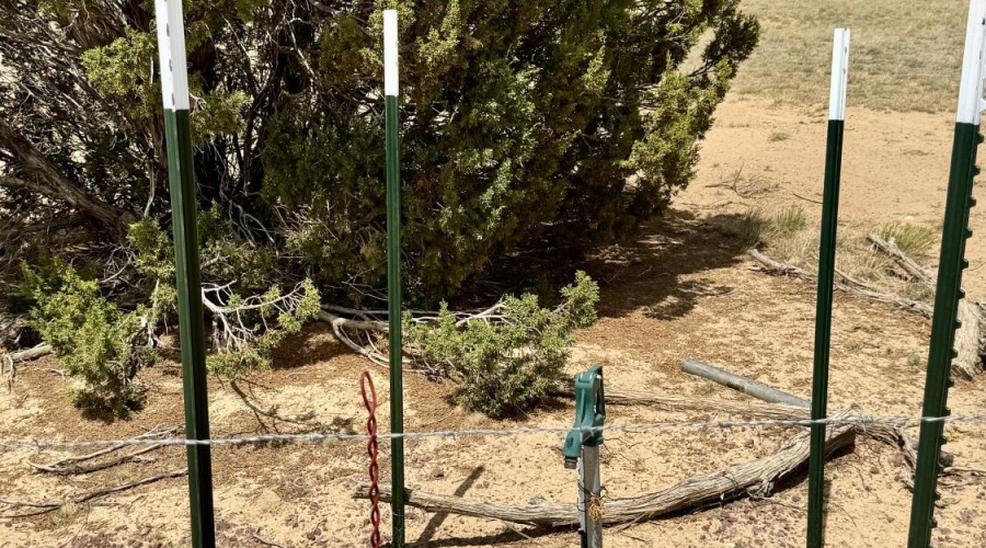 17 County Road N8034