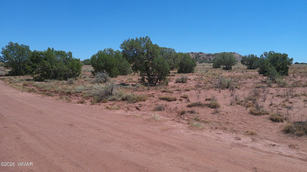 TBD Ranch of the White Mountains10, Concho, Arizona 85924, ,Land,For Sale,Ranch of the White Mountains10,257452
