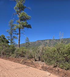 Parcel 1 Hwy 87, Pine, Arizona 85544, ,Land,For Sale,Hwy 87,92419