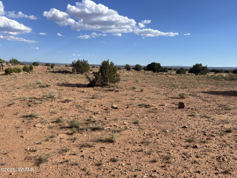 2409 Mountain View Drive, Snowflake, Arizona 85937, ,Land,For Sale,Mountain View,257001