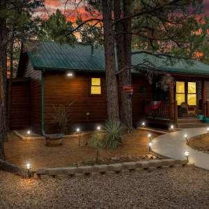 2702PalominoTrail-Overgaard-AZ-1