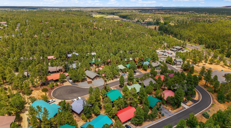 Aerial View of Community