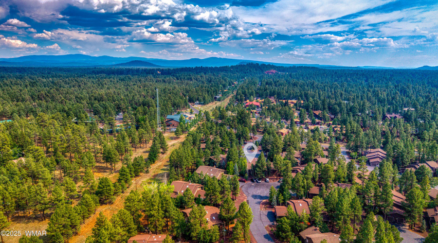 003_photo_3_2788_oak_circle_pt_rick_0807