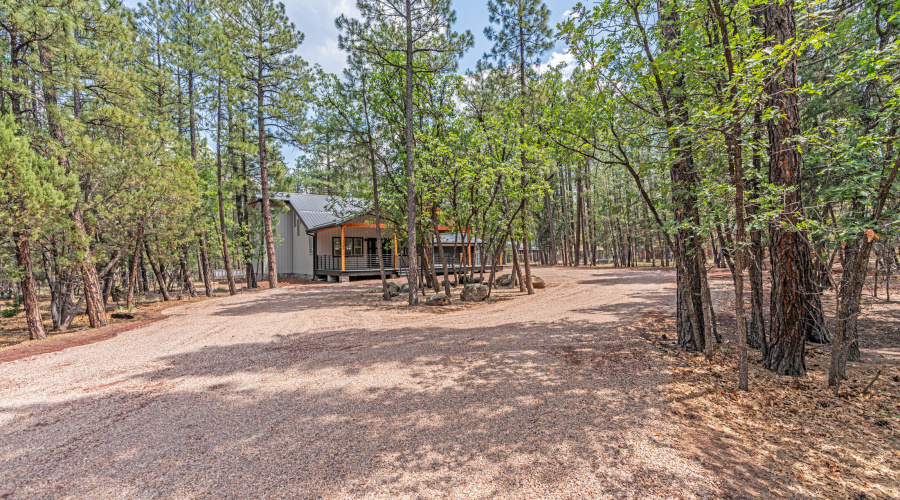 Round about driveway