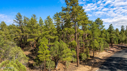 4460 Hawthorn Road, Show Low, Arizona 85901, ,Land,For Sale,Hawthorn,257201