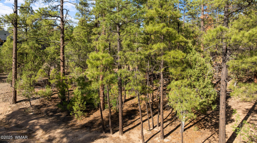 twinflamerealestatemedia-2