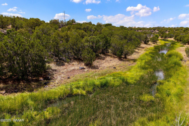 8604 Fox Circle, Show Low, Arizona 85901, ,Land,For Sale,Fox,257428