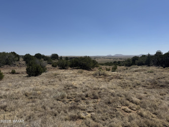 5 County Road, Concho, Arizona 85924, ,Land,For Sale,County,257478