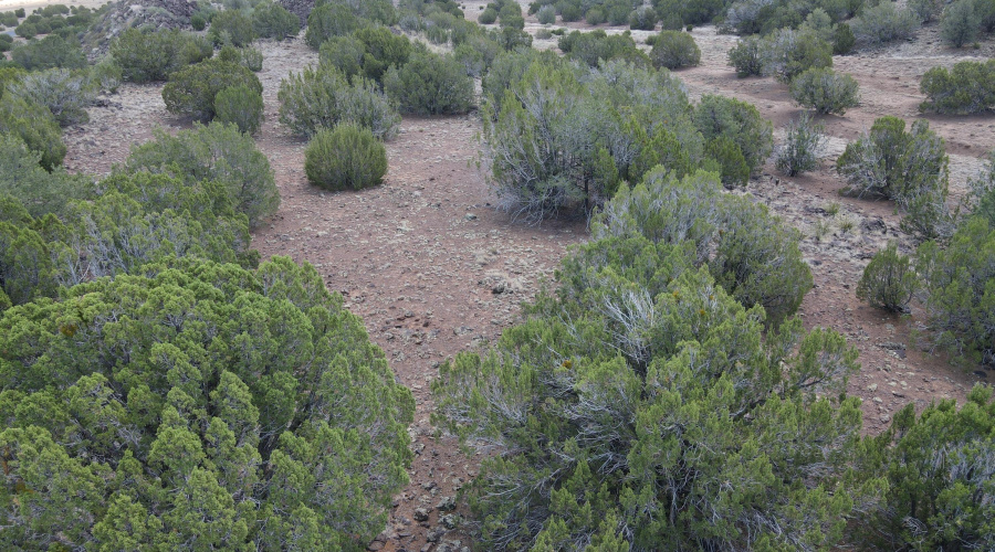 dji_fly_20250811_111444_920_175493615527