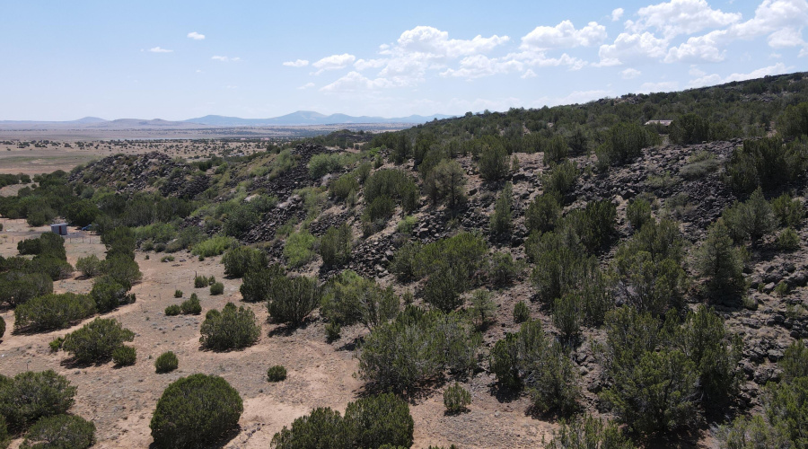 dji_fly_20250811_111208_903_175493597309