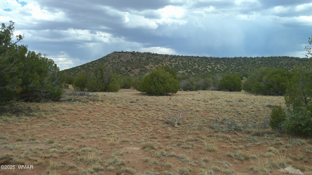 2716 Zaidee Road, Show Low, Arizona 85901, ,Land,For Sale,Zaidee,257473