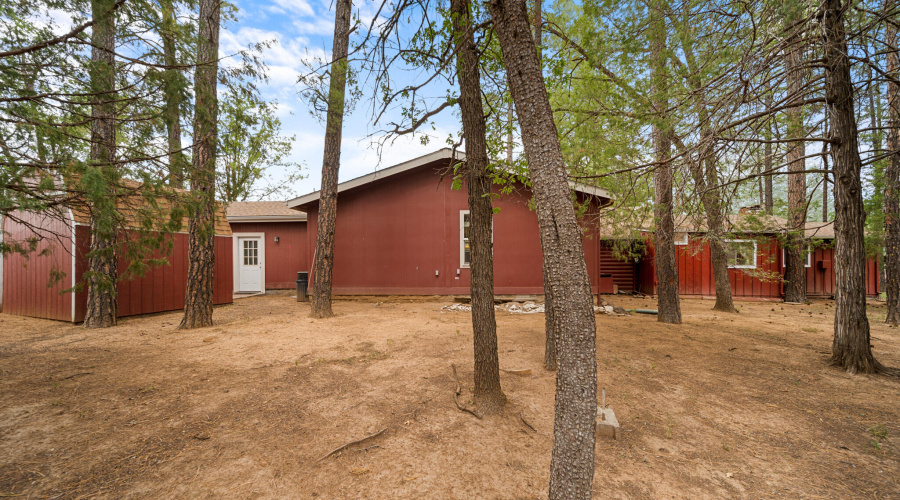 Back Yard View