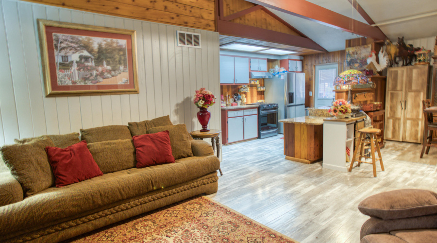 Paxmanphoto_PAX_8115