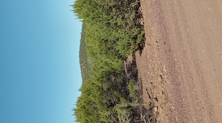 Vacant land for sale in Vernon AZ