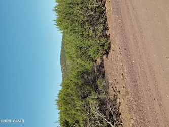 TBD County Road 3193 Lot 258, Vernon, Arizona 85940, ,Land,For Sale,County Road 3193 Lot 258,257486