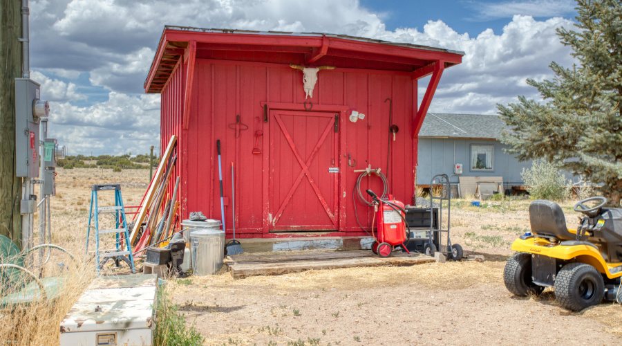 Paxmanphoto_PAX_7831