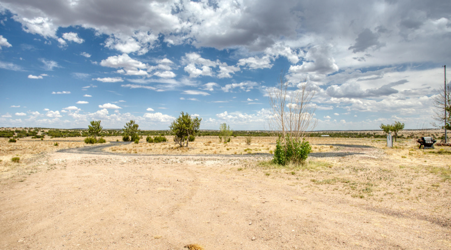 Paxmanphoto_PAX_7838