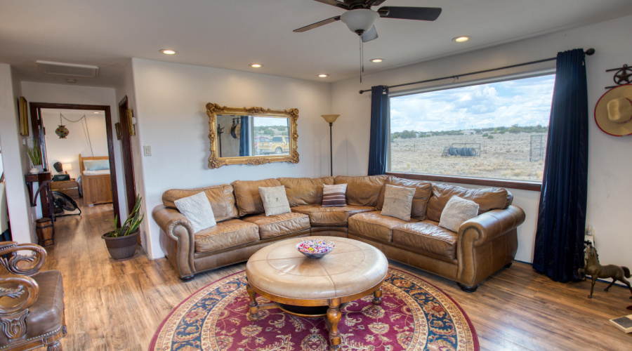 Paxmanphoto_PAX_7785