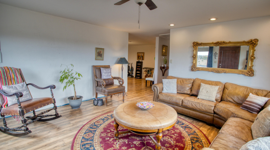 Paxmanphoto_PAX_7782