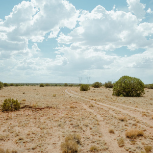 Land
