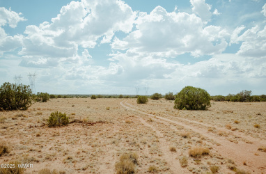 144 N9027, Concho, Arizona 85924, ,Land,For Sale,N9027,257488
