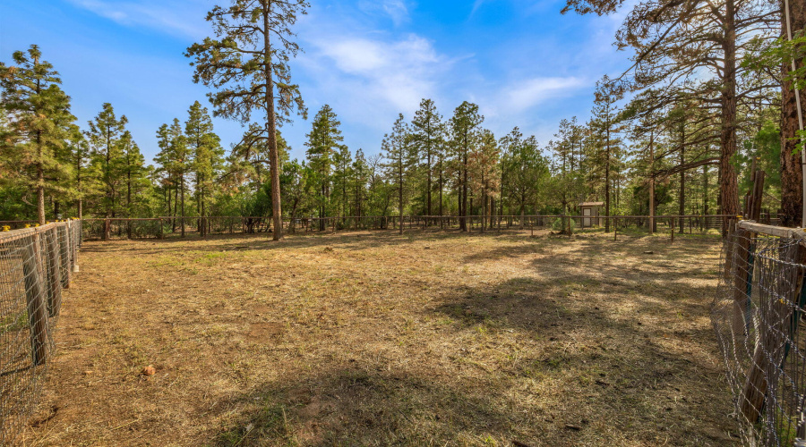 2710HooksWay-Heber-AZ-26