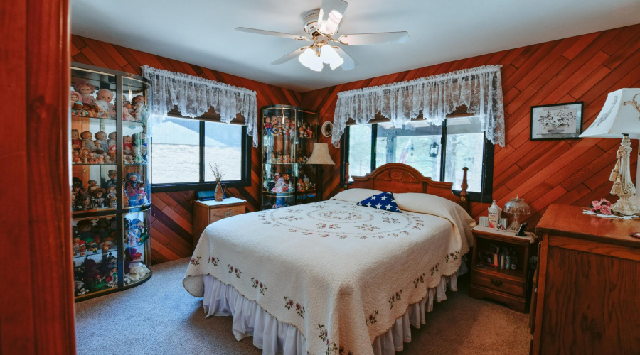 E downstairs bedroom (2)